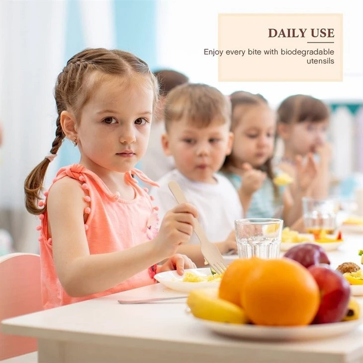 Disposable Wood Cutlery Sets